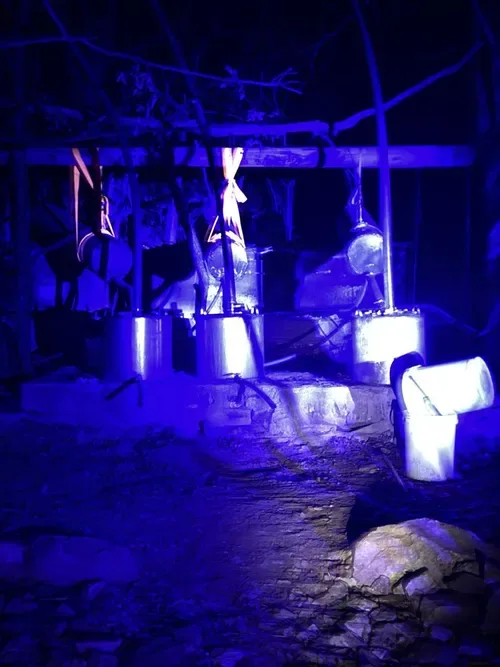 PICS | Two Mexicans among five arrested in R600m crystal meth lab bust in Limpopo