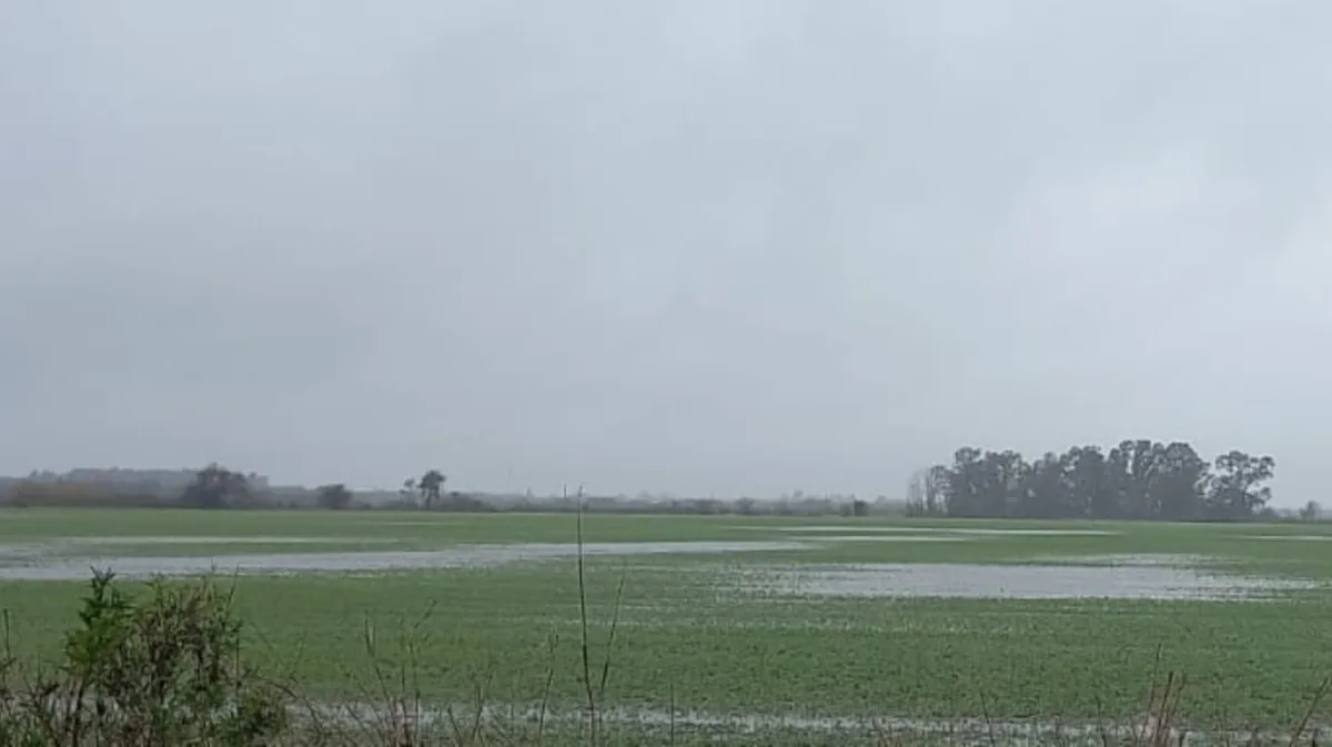 El inicio de la primavera dejará lluvias de variada intensidad en la región agrícola