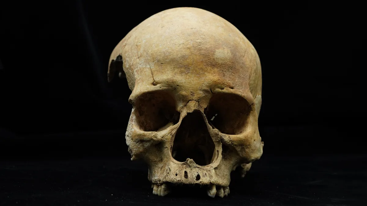 14th-century woman in China lost her nose to amputation — likely as punishment for stealing or adultery