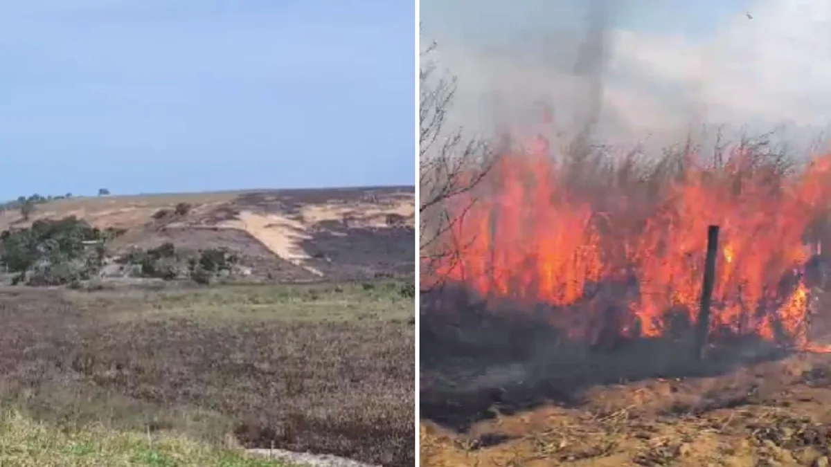 Incêndio atinge 40 hectares de vegetação em Marataízes