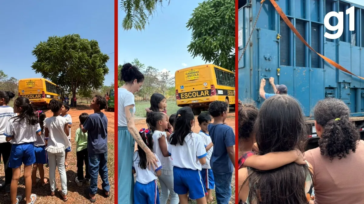 VÍDEO: passagem do elefante Sandro mobiliza comunidade em MT e atrai crianças