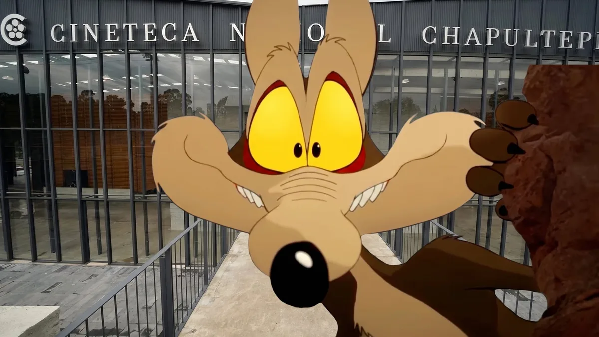 Es oficial, Los Looney Tunes llegan a la Cineteca Nacional con el estreno de Coyote Vs. Acme: fechas, sedes y horarios