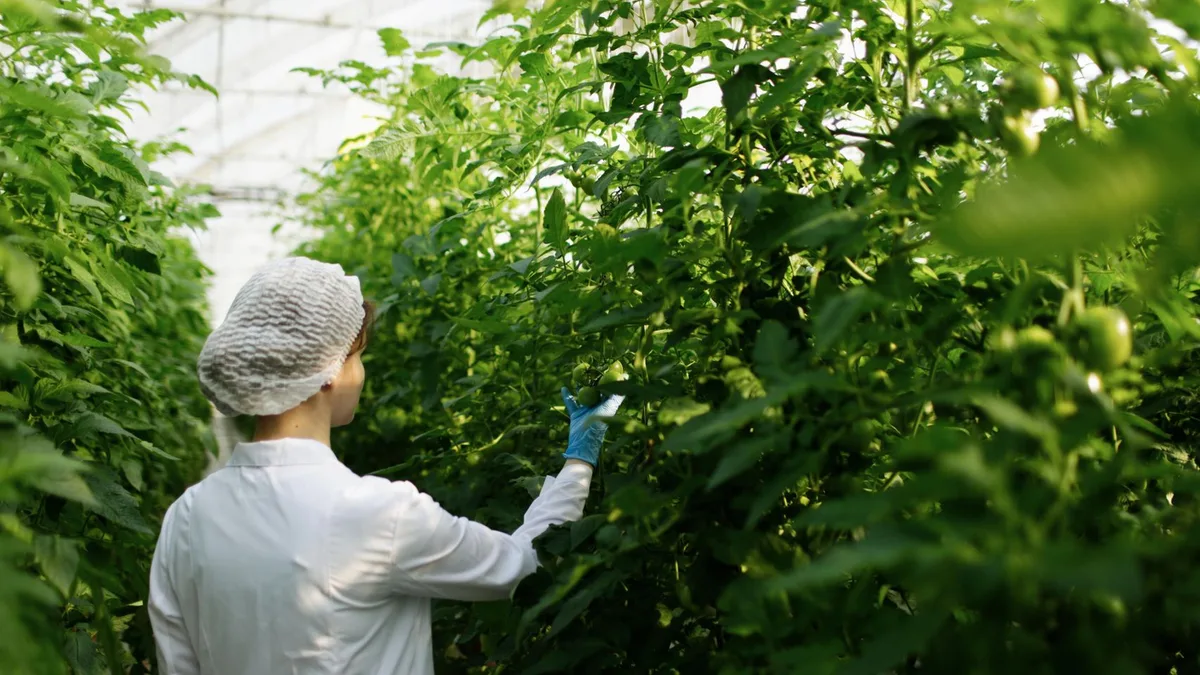 Entra en vigor en España a partir de octubre: los agricultores podrán usar este herbicida de origen natural