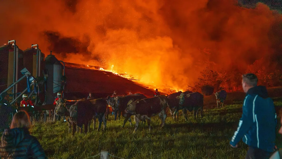 Großbrand in Bayern - Feuer zerstört Kuhstall – 1,5 Millionen Schaden