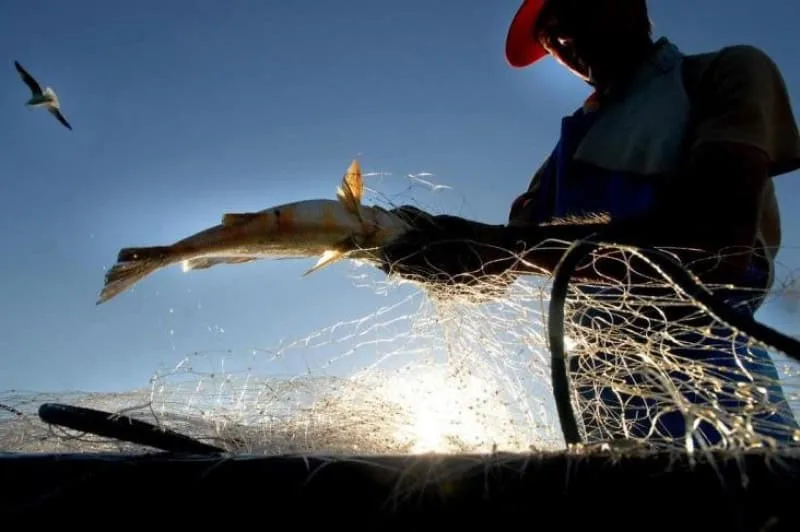 Pescadores têm prazo ampliado para solicitar o Seguro-Defeso