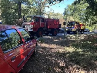Feu de forêt en Maine-et-Loire. Un agriculteur donne l’alerte, des dizaines de pompiers mobilisés : ce que l’on sait