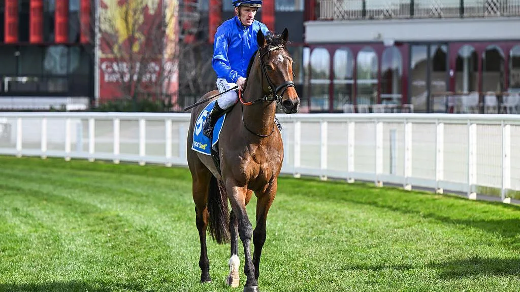 Tom Kitten back for second Memsie tilt after last year’s scratching
