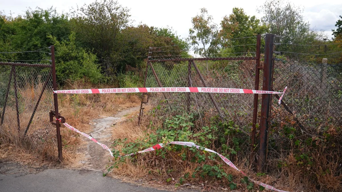Murder investigation under way after human remains found in woodland
