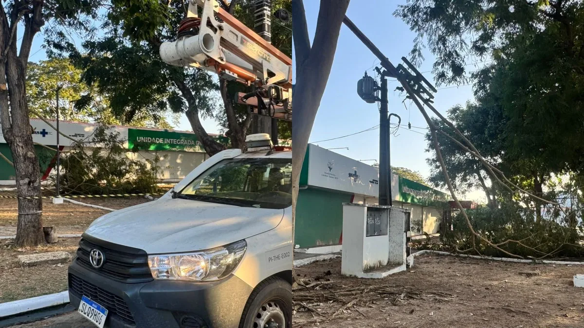 Hospital fica sem energia após árvore derrubar poste em Teresina; pacientes usam papelões para amenizar calor