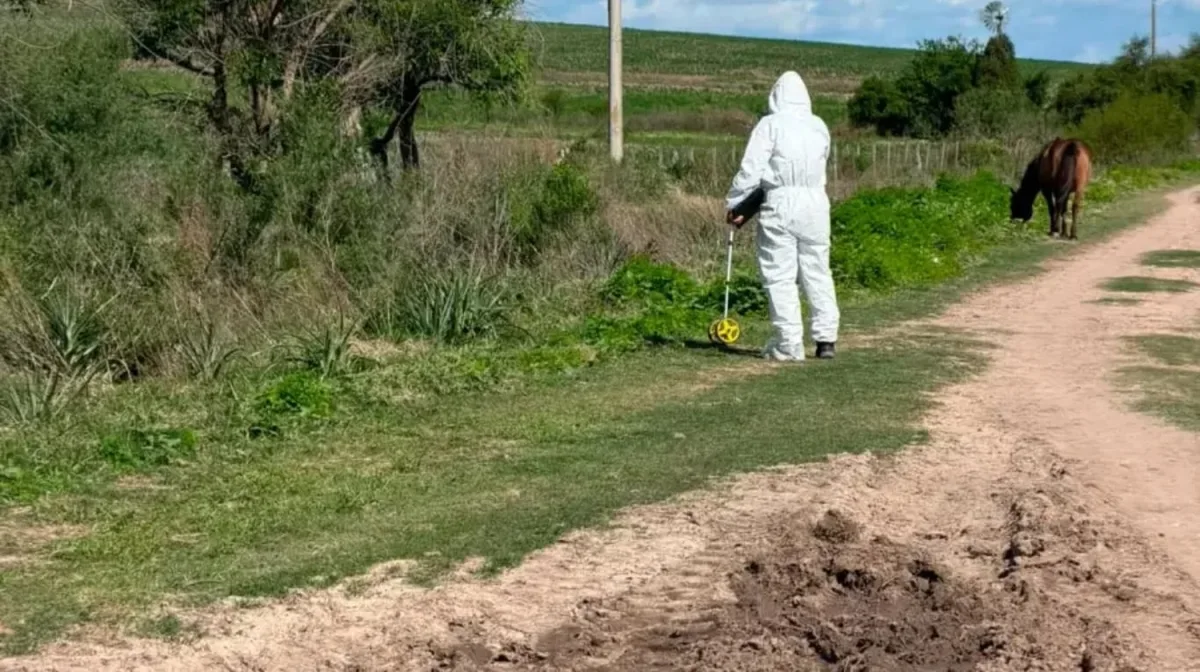 Encontraron muerta a una mujer de 48 años que estaba desaparecida en Entre Ríos y detuvieron a su pareja
