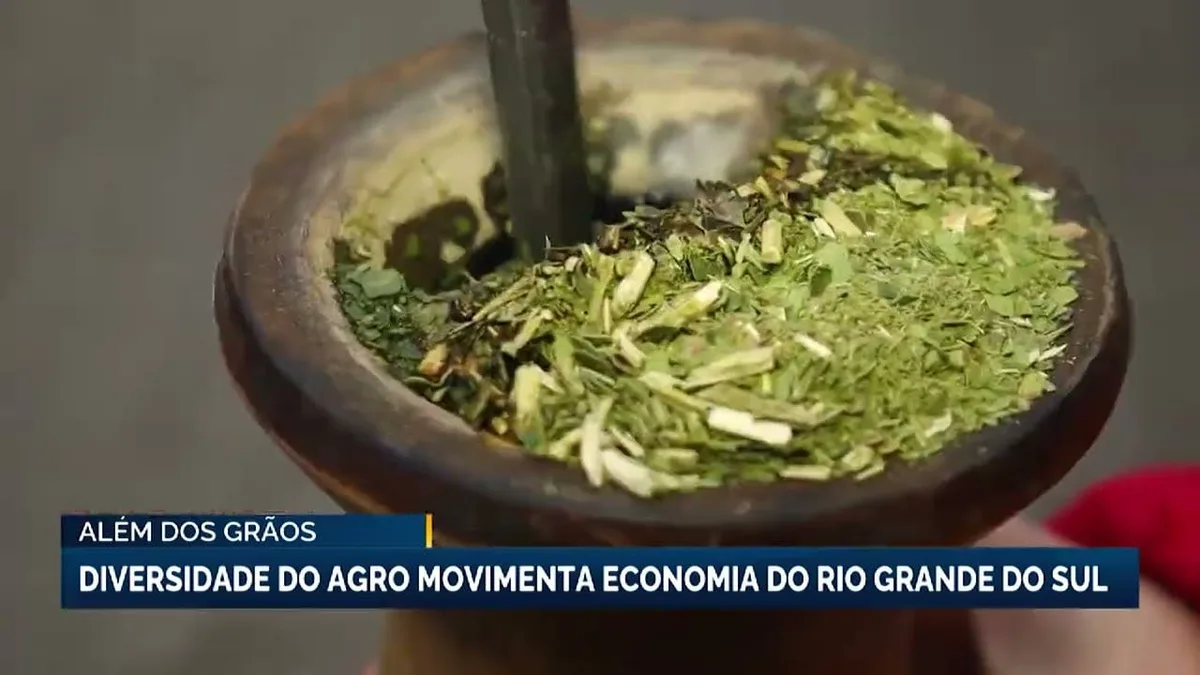 Rio Grande do Sul se destaca como potência no agronegócio brasileiro