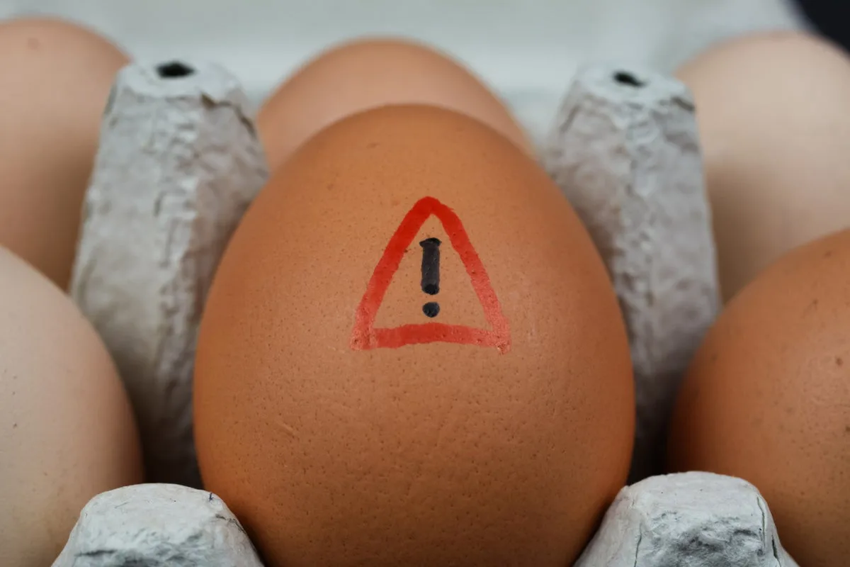 Who’s at risk from Salmonella – and is it safe to eat eggs in the UK?