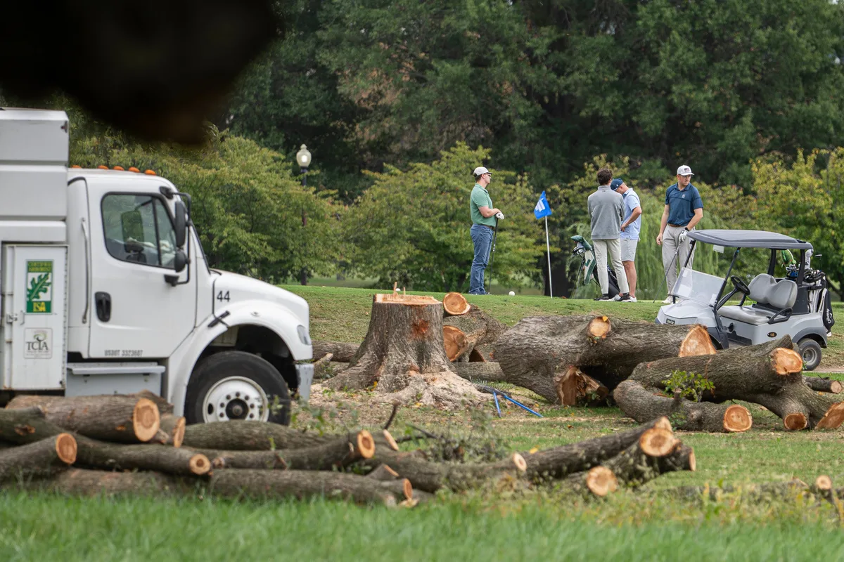 Una jueza federal suspende las obras y la tala de árboles en el campo de golf de Washington D.C. hasta el 26 de octubre
