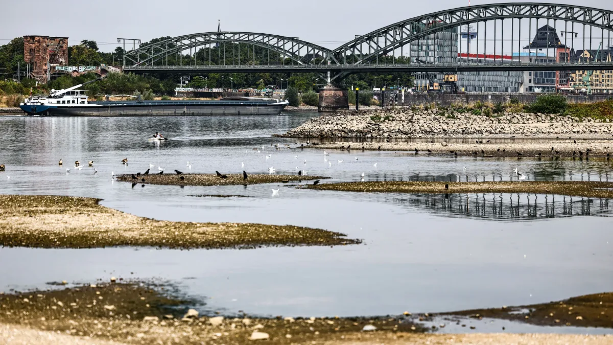 Binnenschifffahrt: Zwölf Niedrigwasserschiffe sind zu wenig