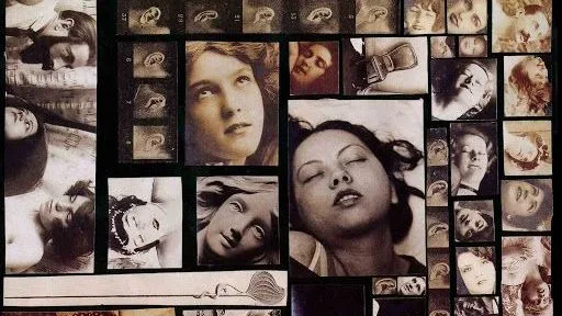 Orgasme : un plaisir caché dans l'histoire des sciences