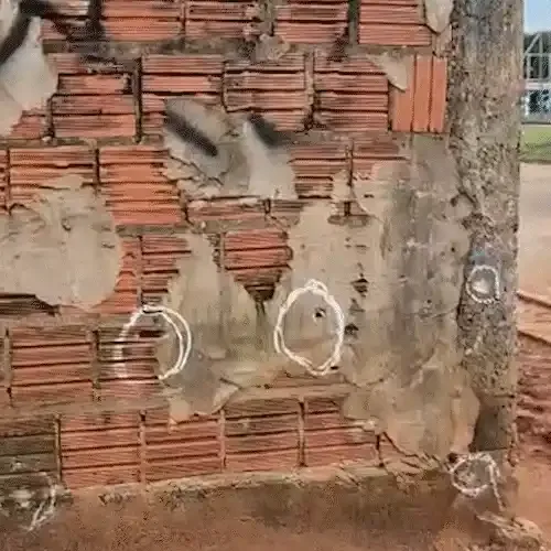 No entorno de praça, moradores do Dom Antônio convivem com tiros, morte e medo