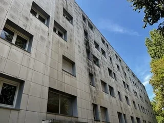 « Mes enfants sont traumatisés » : à Laval, des locataires face à une infestation de cafards dans leur immeuble