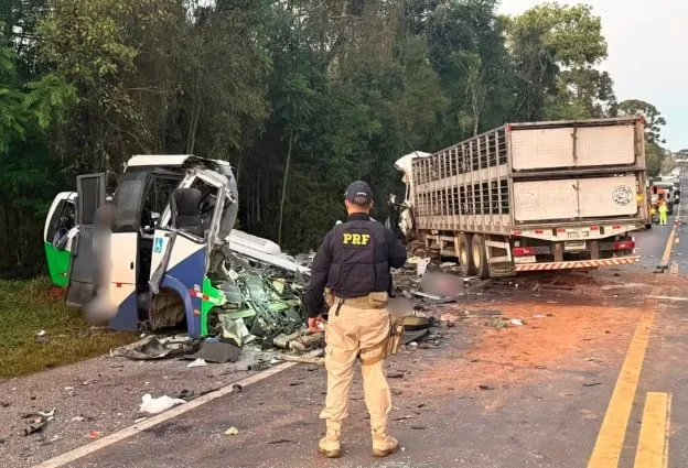 Acidente entre micro-ônibus e caminhão usado no transporte de porcos deixa 23 mortos no Paraná