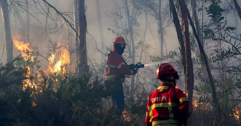 Sete meios aéreos combatem fogo em Santo Tirso
