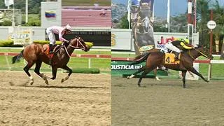 Invicto vs. Racha triunfal: La prueba que reúne a dos de las mejores cartas del domingo en La Rinconada