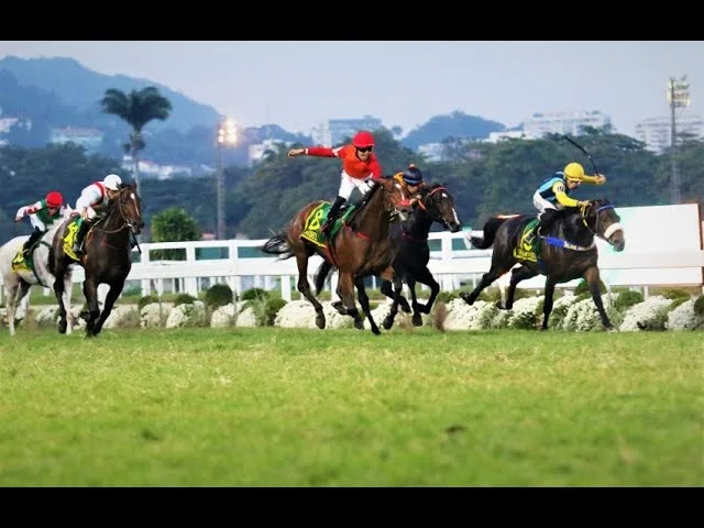 Vencedor do GP Brasil de Turfe morre após cair de cavalo em prova