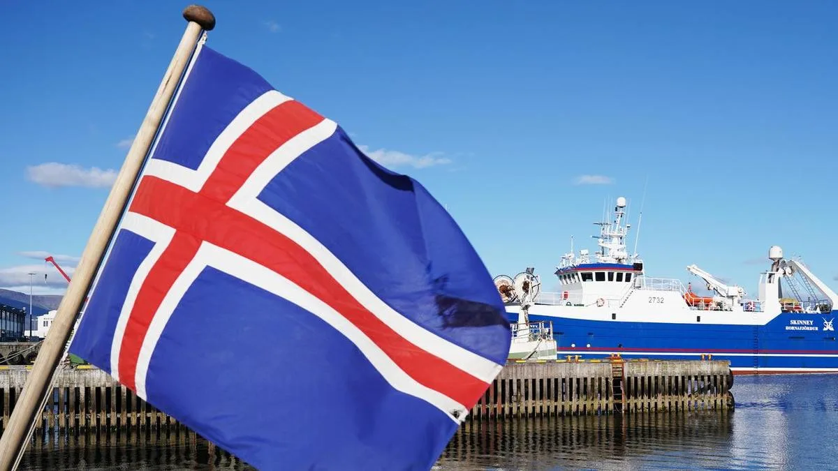 'Yes' votes have slim early lead in Iceland referendum