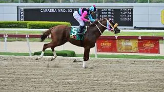 Reaparece doble coronado luego de 294 días sin correr con entrenador nuevo