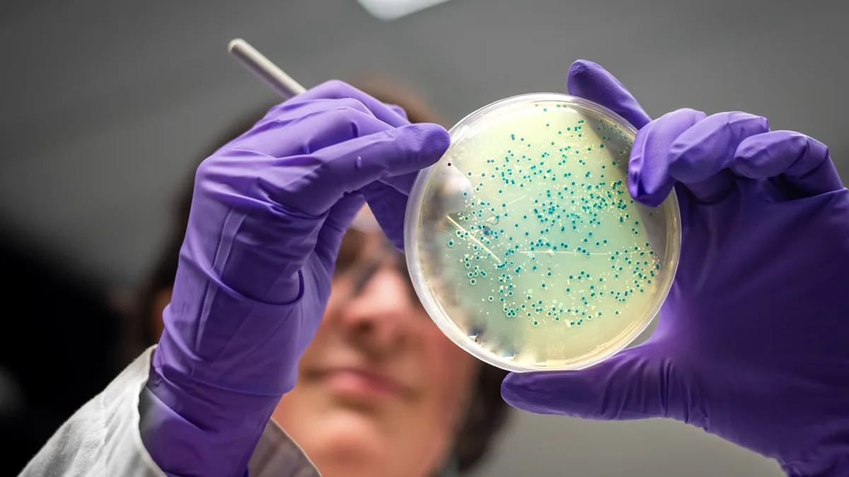 Salmonella outbreak leaves one dead and hundreds ill