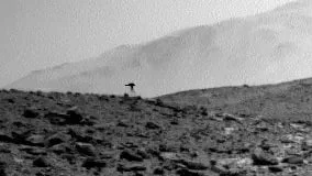 Ufo, Alien oder Kamerafehler? - Mysteriöse „Qualle“ auf dem Mars entdeckt