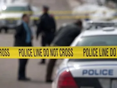 Man charged in alleged plot potentially targeting Hindu place of worship in Illinois