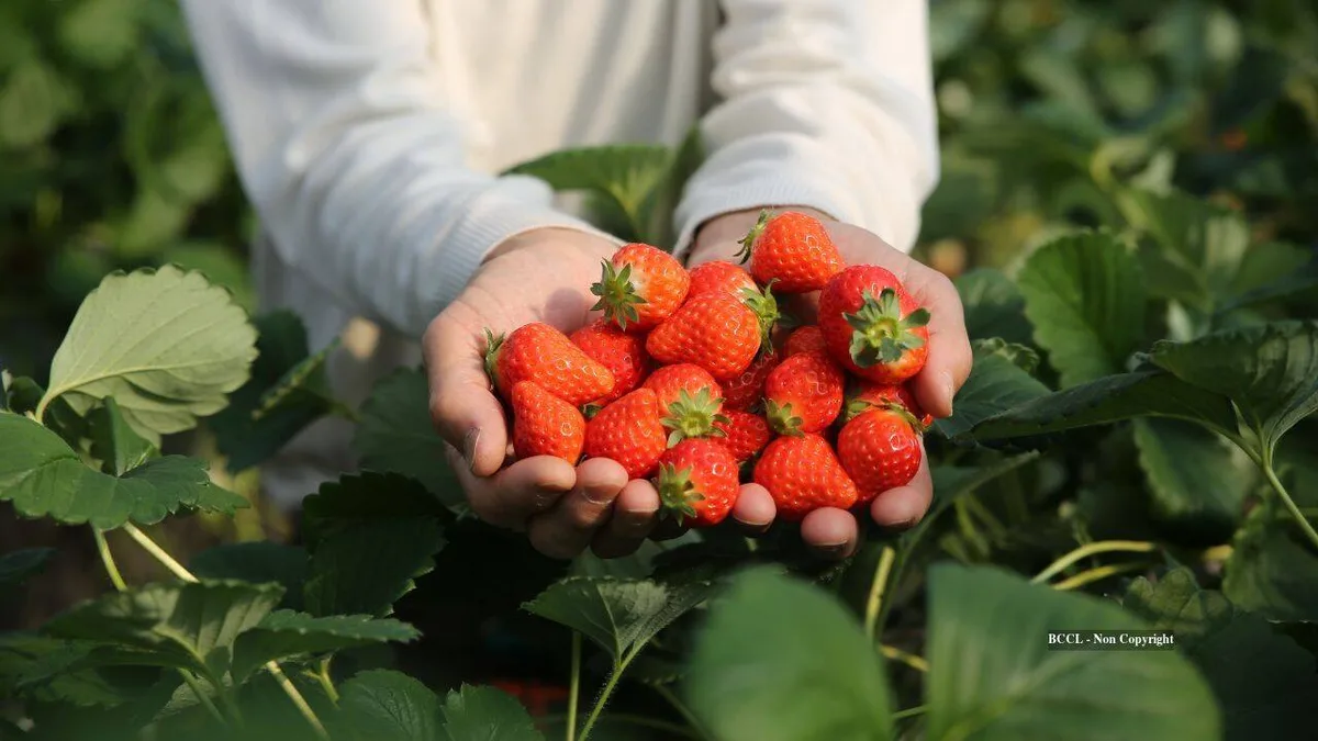 New Jersey preserves former farm beside historic Monmouth battlefield after development plans