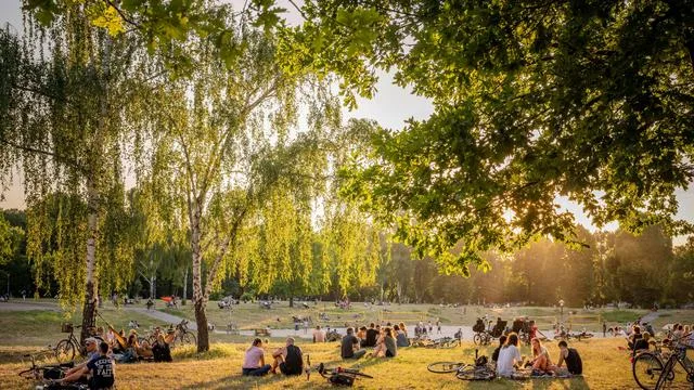 Urbane Vegetation: Bäume mögen es urban