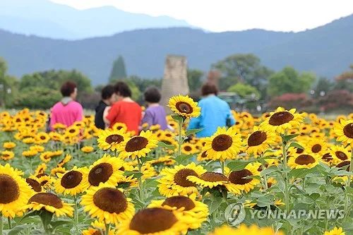 덥고 습한 날씨 이어져…한낮 광주 35도 등 전국 28∼35도