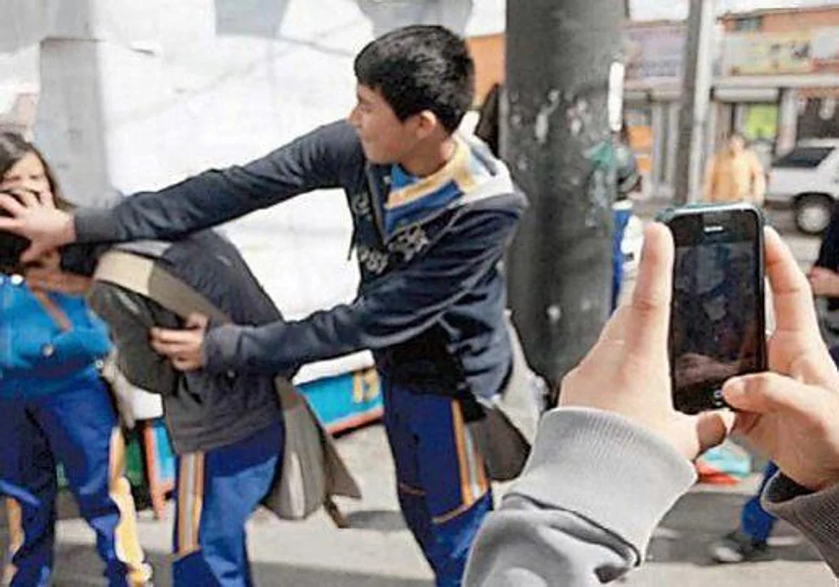 Educación confirma 112 casos de acoso escolar, el 21% de 'ciberbullying'