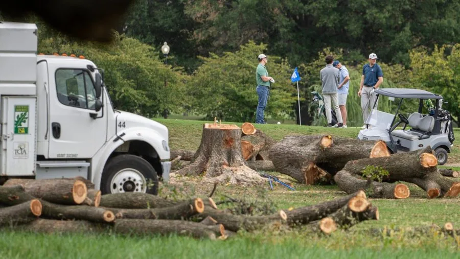 Federal judge admonishes Trump administration over East Potomac Park tree removal