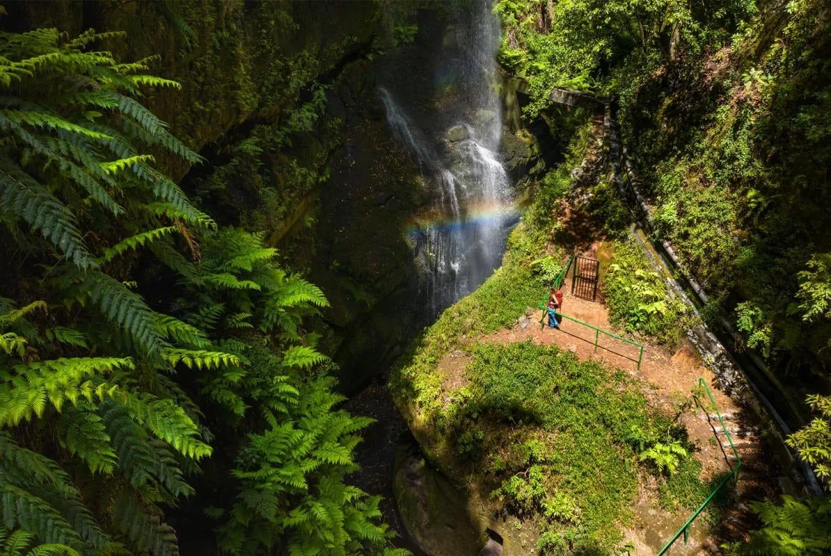El bosque de España que parece del trópico: casi nadie conoce la “Selva de Sumatra” declarada Reserva de la Biosfera