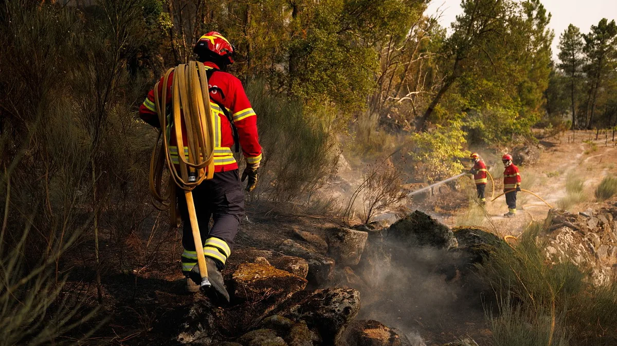 Seis incêndios ativos no norte do país com Arouca a concentrar maiores preocupações