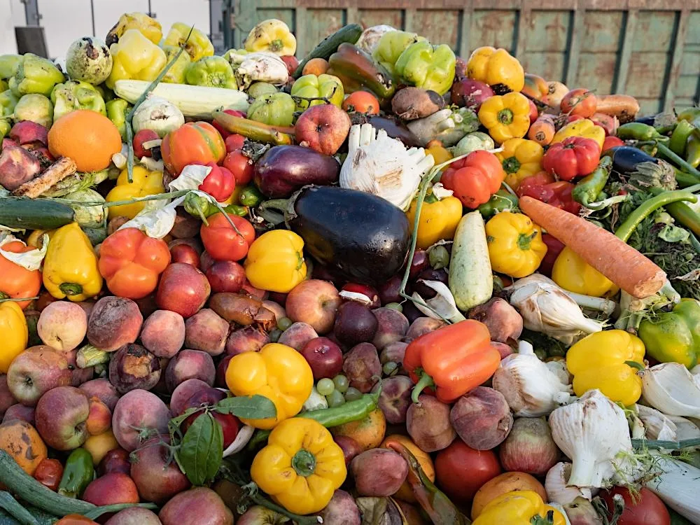 Want to Make Food Affordable? Tackle Food Waste