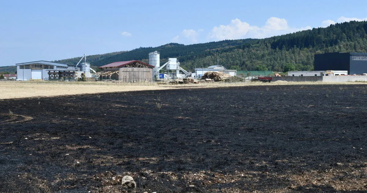 Jura. Départs de feu suspects à Gizia, Orgelet et Dompierre : un homme d’une vingtaine d’années interpellé