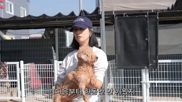 ‘장동건♥’ 고소영, 키우던 반려견들 줄초상에 충격 “한동안 못 키우게 돼”