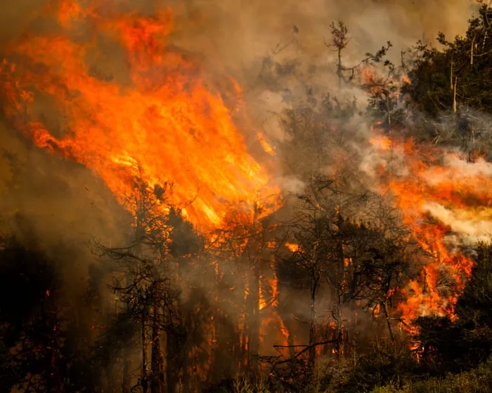 ‘We’re near a breaking point:’ firefighters say US government is failing them amid intense wildfire season