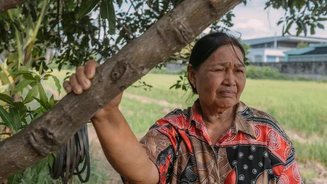 Landwirtschaft in Thailand: Kein Reis an Kanal Nummer fünf