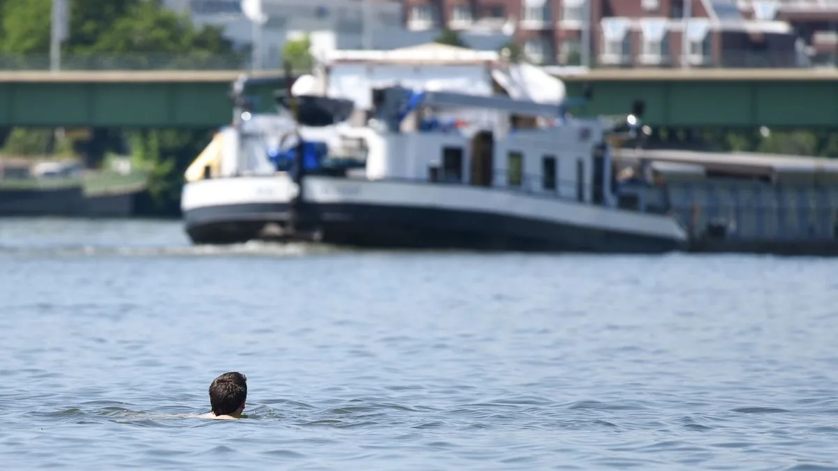 In Probe nachgewiesen: Blaualgen im Neckar nachgewiesen: Landkreis rät vom Baden ab
