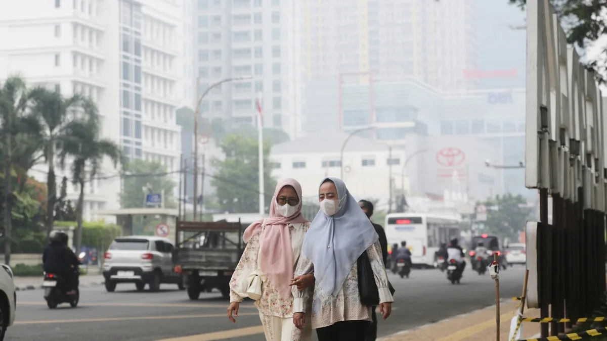Wildfire traps firefighters and volunteers in Indonesia national park, killing 4