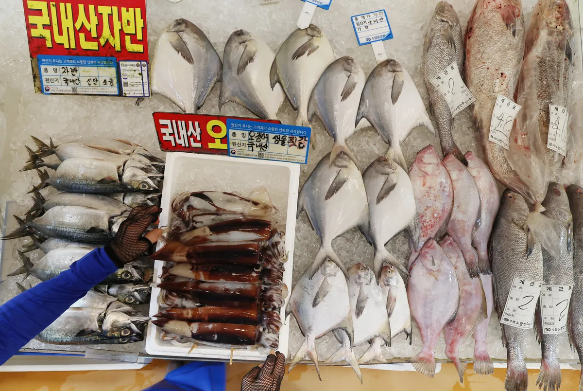 추석 앞두고 수산물값 들썩···오징어, 갈치, 고등어까지