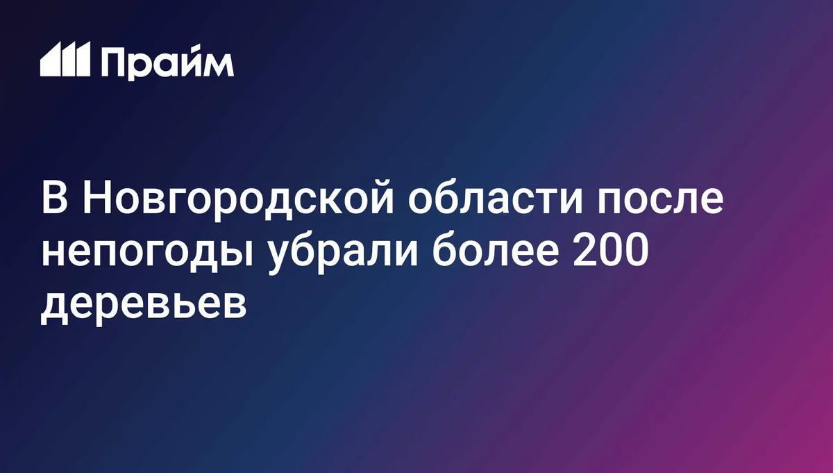 В Новгородской области после непогоды убрали более 200 деревьев