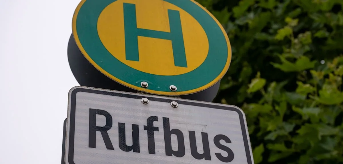 Burgenlandkreis startet Rufbus „Flotte Finne"