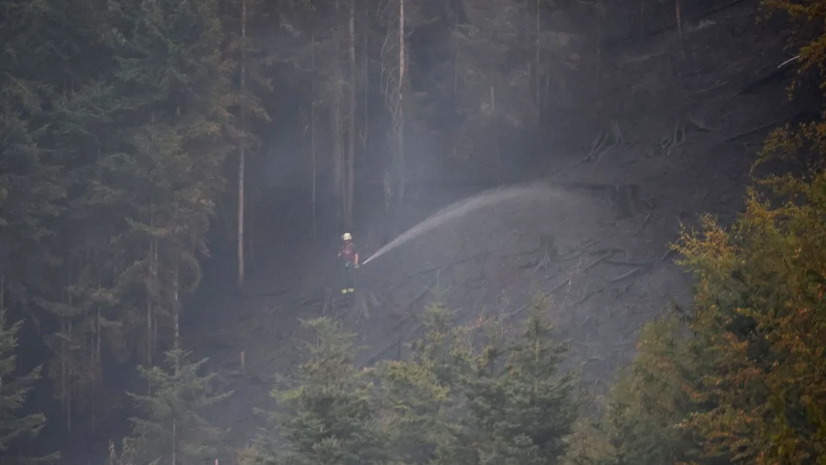 Hunderte Feuerwehrleute: Waldbrand bei Schramberg: Nachlöscharbeiten laufen