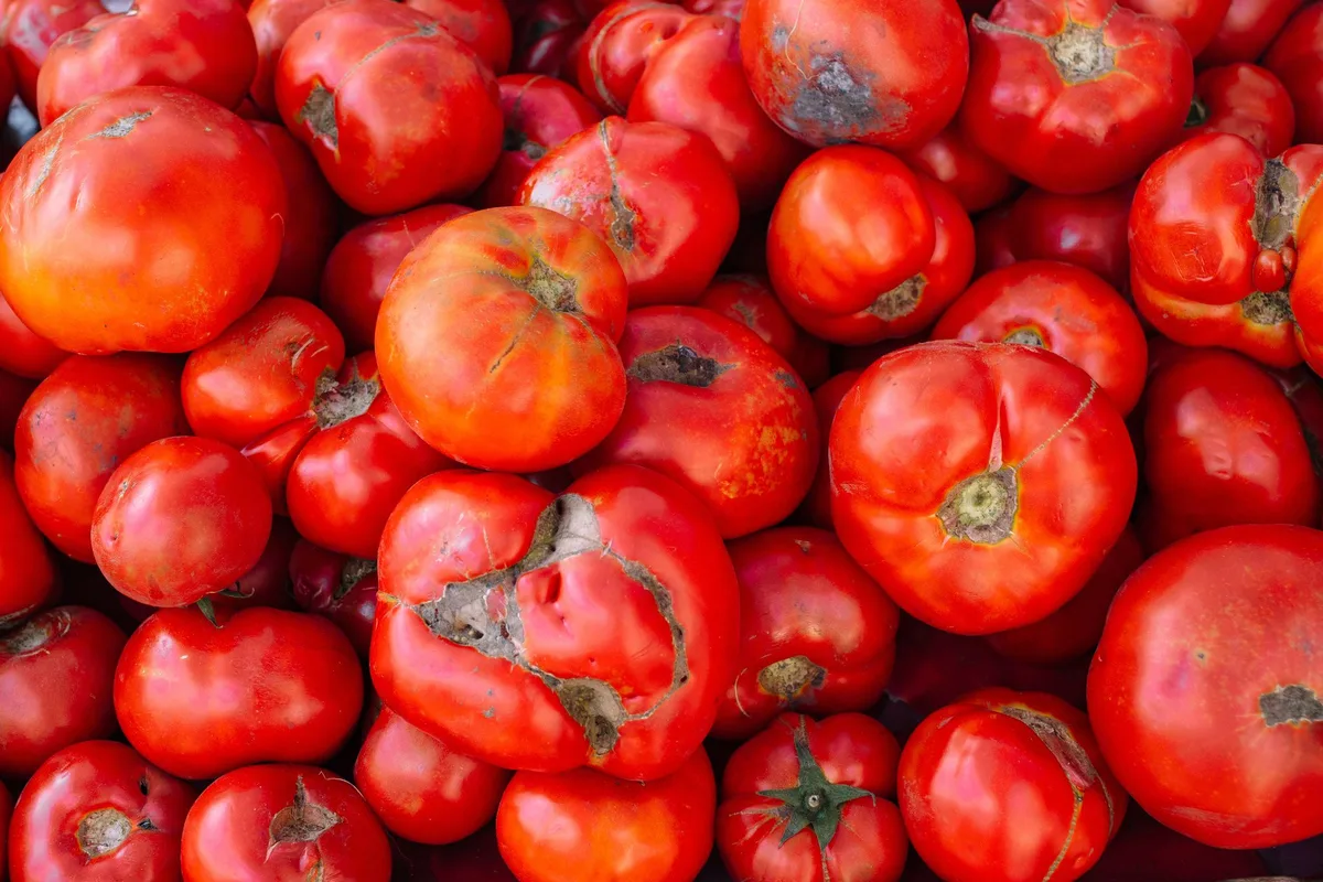 Sécheresse : la grande distribution se pose en soutien du monde agricole