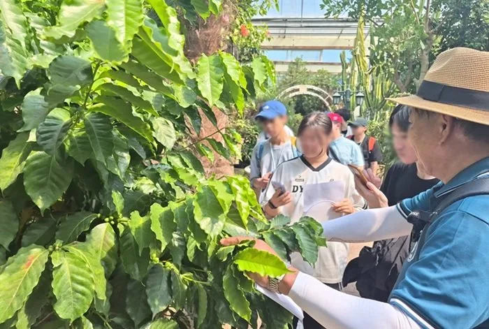 숲노리누리협동조합, 예하예술학교 학생들과 허브아일랜드 식물원 탐방
